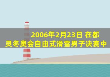 2006年2月23日 在都灵冬奥会自由式滑雪男子决赛中